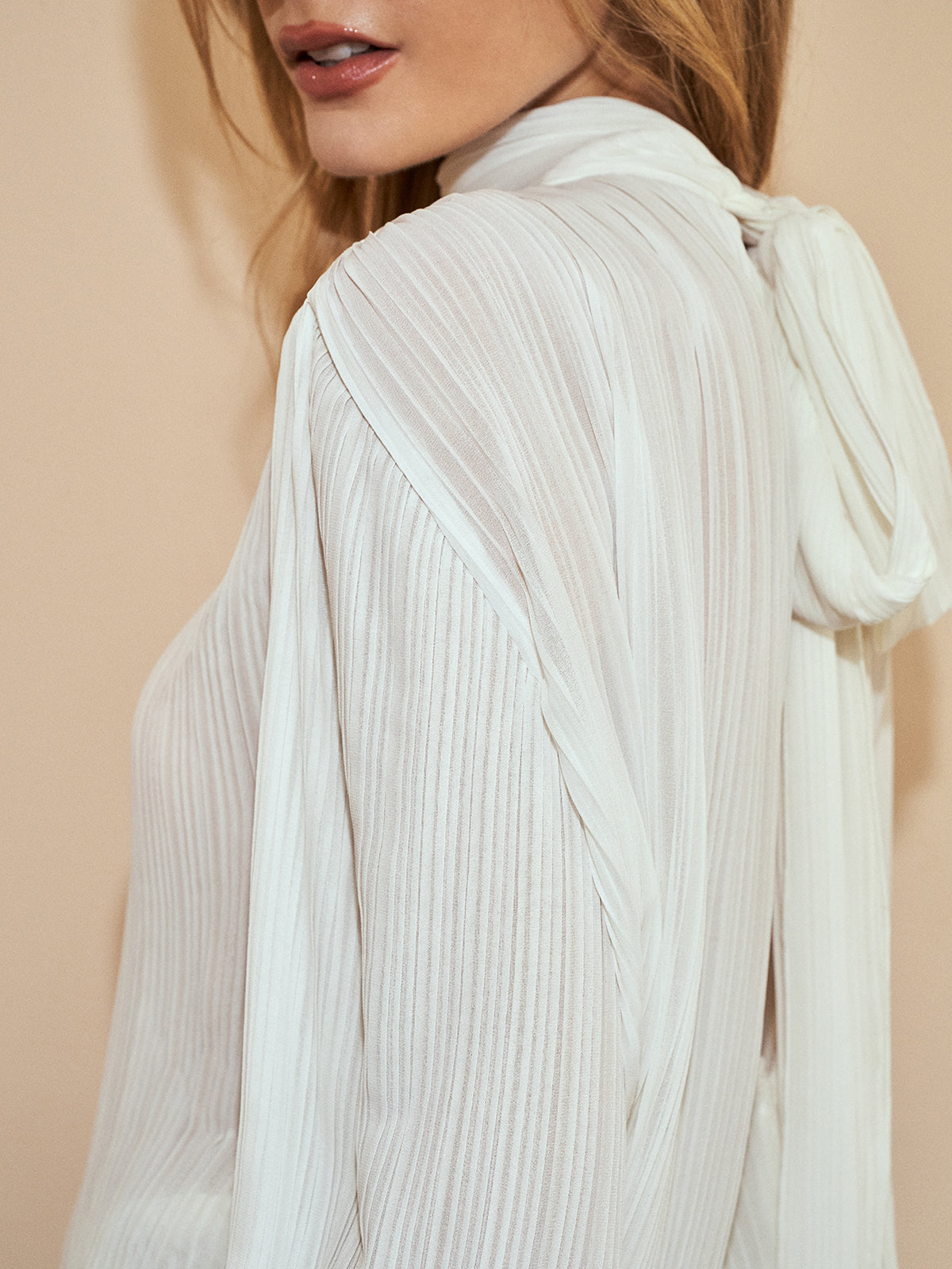 Semi-Sheer Tie Neck Chiffon Blouse
